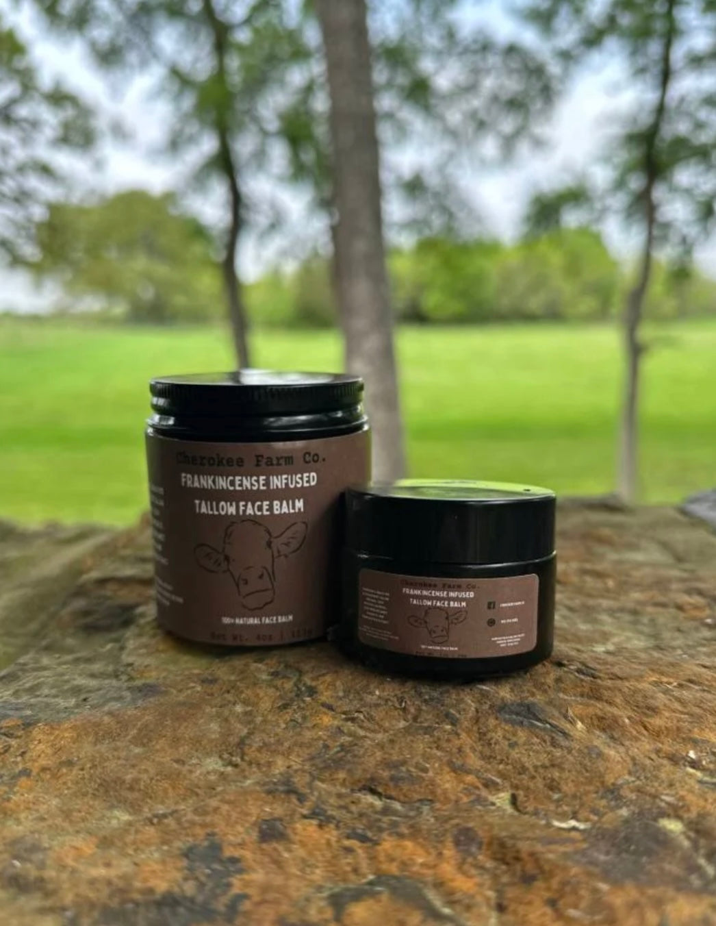 Frankincense Infused Tallow Face Balm